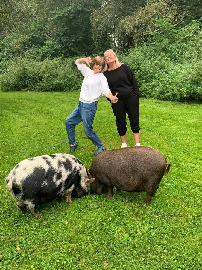 Вилла Starry Meadow & Rescued Animal Experiences Грейт-Ярмут Экстерьер фото
